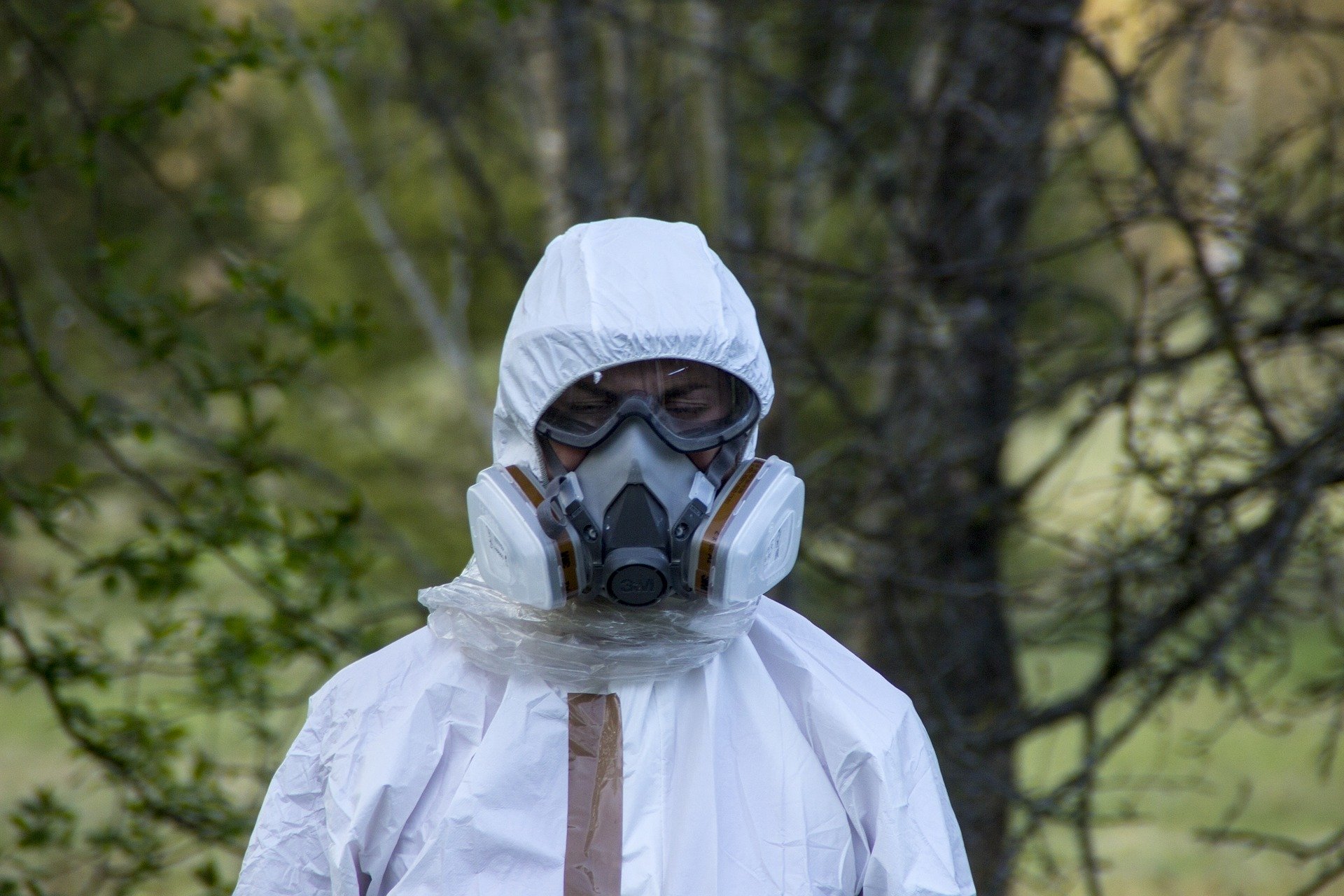 Asbestos removal