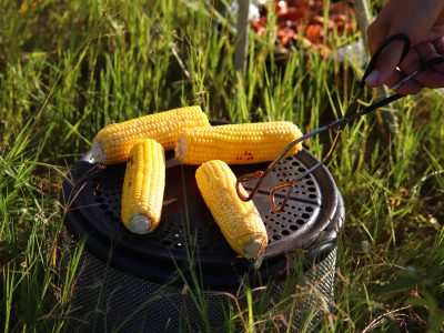 how to cook corn on the cob