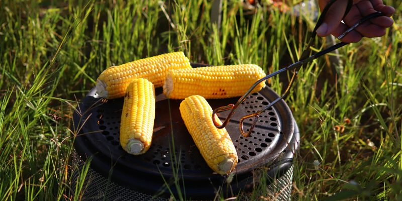 how to cook corn on the cob