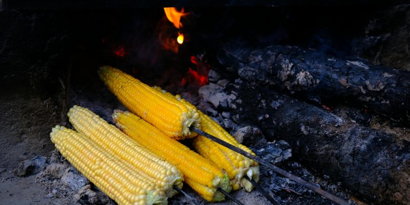 how long to boil corn on the cob